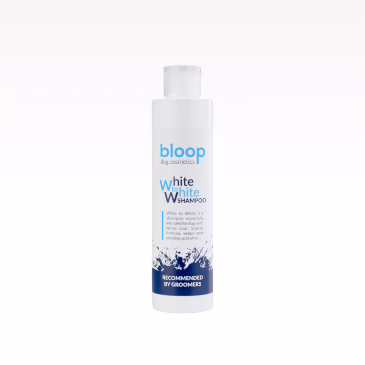 SAMPON CAINE BLOOP WHITE SHAMPOO 200ML