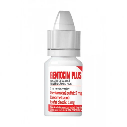 GENTOCIN PLUS