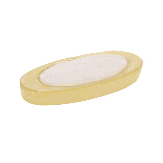 FLAMINGO SEPIA SHELL SEPIA CU BANANE 12CM 70GR