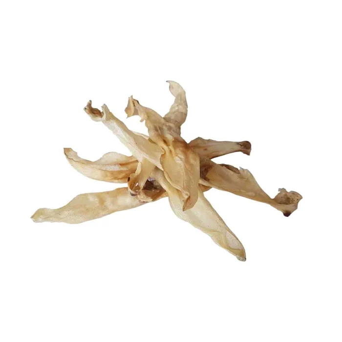 4DOG GOODIES CLASSIC URECHI DE IEPURE