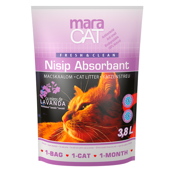 ASTERNUT MARACAT NISIP SILICAT LAVANDA 3.8 L