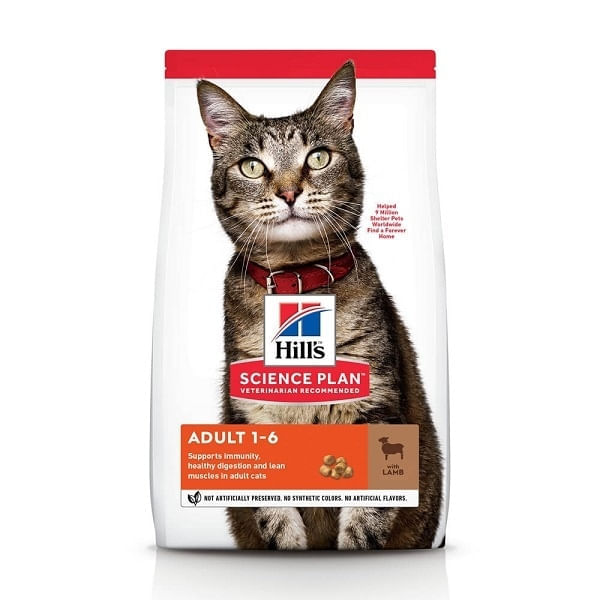 HRANA PISICA HILL'S ADULT MIEL 10 KG