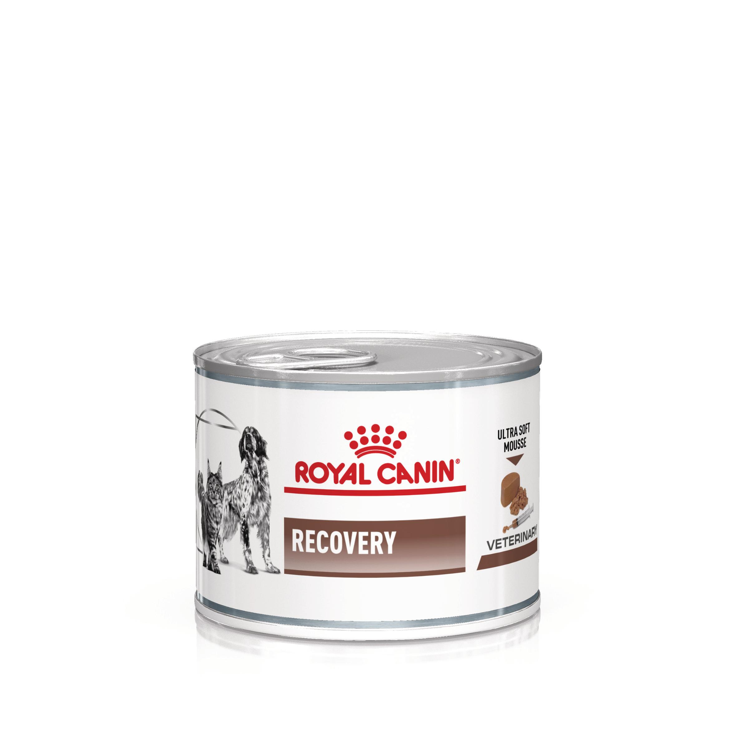 CONSERVA CAINE SI PISICA ROYAL CANIN RECOVERY 195GR
