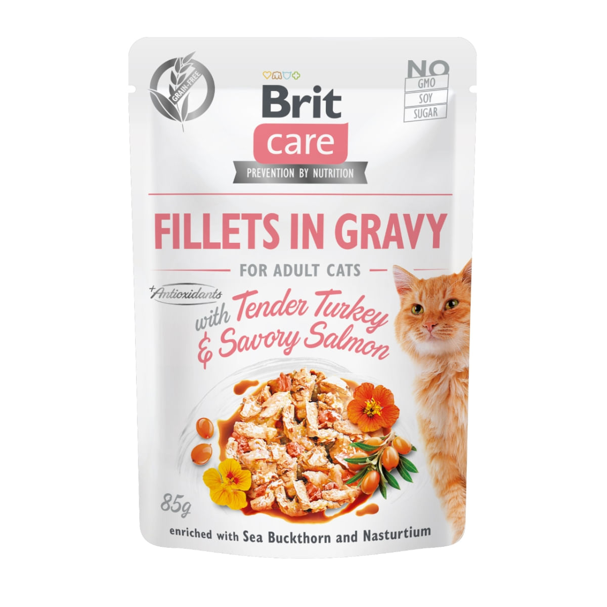 PLIC PISICA BRIT CARE CURCAN SI SOMON 85GR