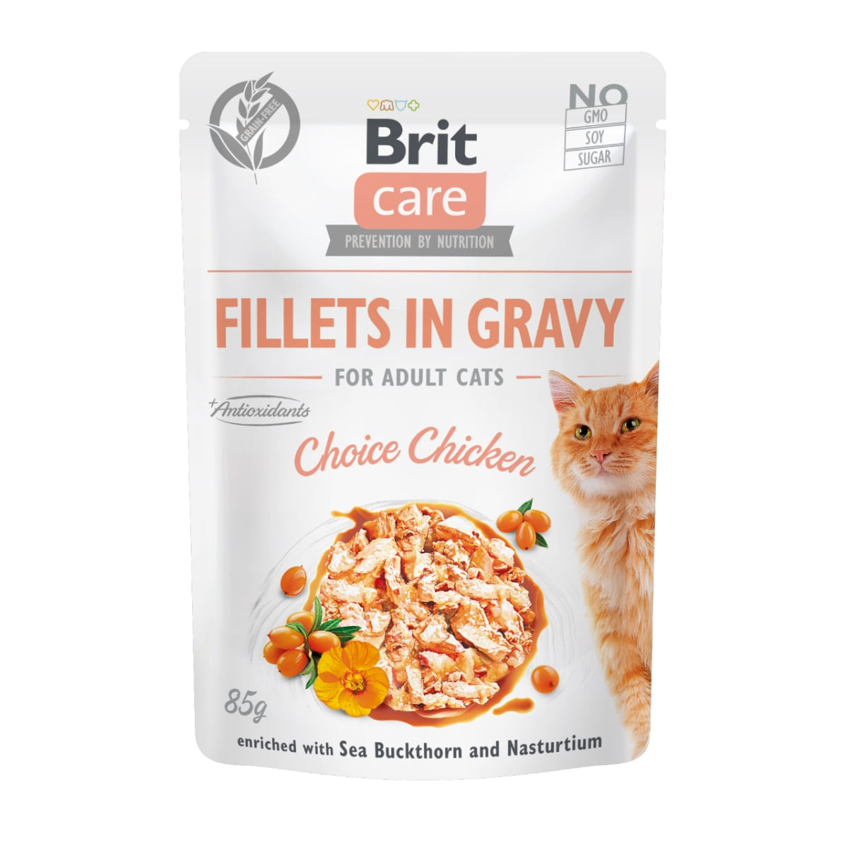 PLIC PISICA BRIT CARE PUI 85GR