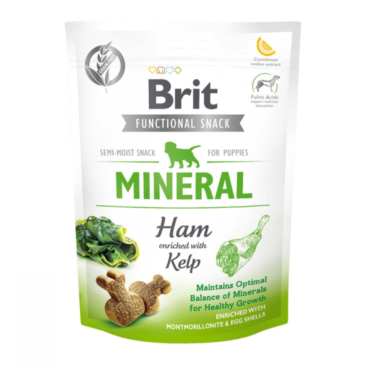 RECOMPENSA BRIT CARE MINERAL HAM PUPPY 150GR