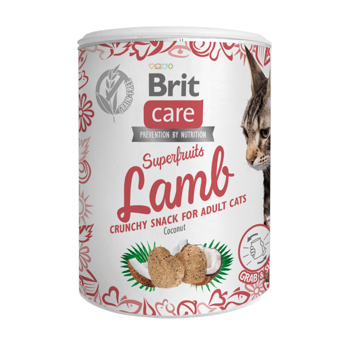 RECOMPENSA BRIT CARE SNACK SUPERFRUITS MIEL 100 G