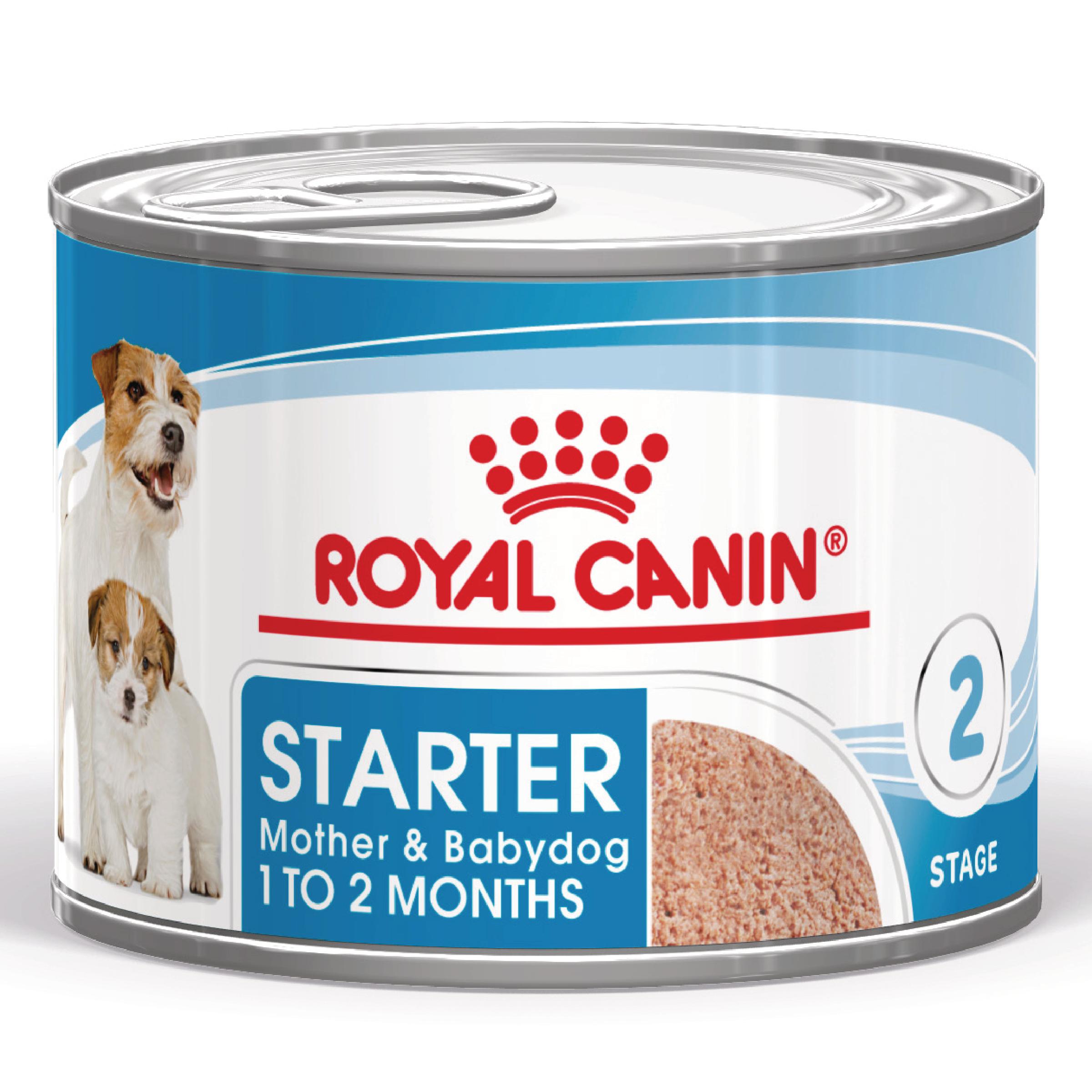CONSERVA CAINE ROYAL CANIN STARTER MOTHER AND BABY DOG 195GR