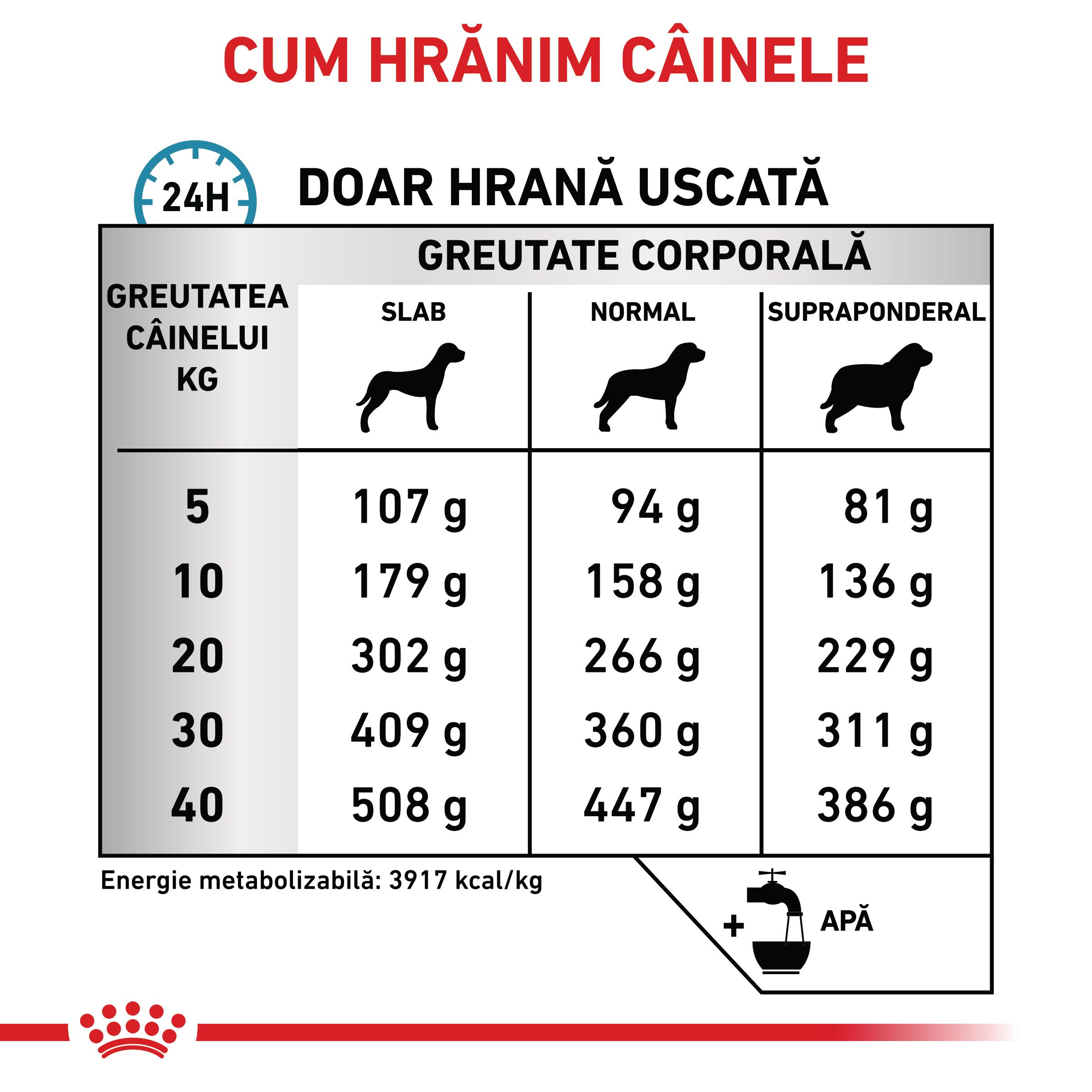 ROYAL-CANIN-VD-Anallergenic-XS-XL-dieta-veterinara-hrana-uscata-caini-alergii-alimentare