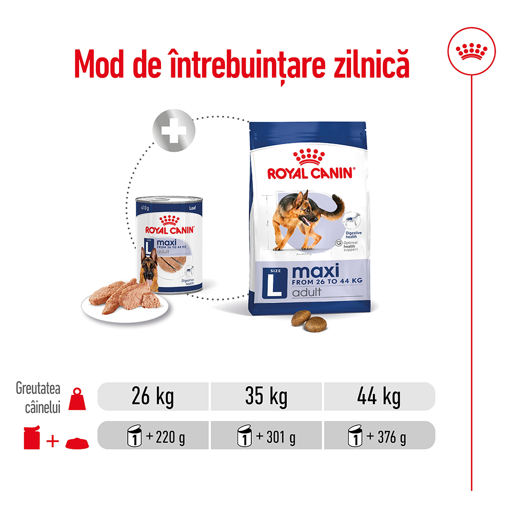 ROYAL-CANIN-Maxi-Adult-hrana-umeda-caini-pate--ghid-hranire