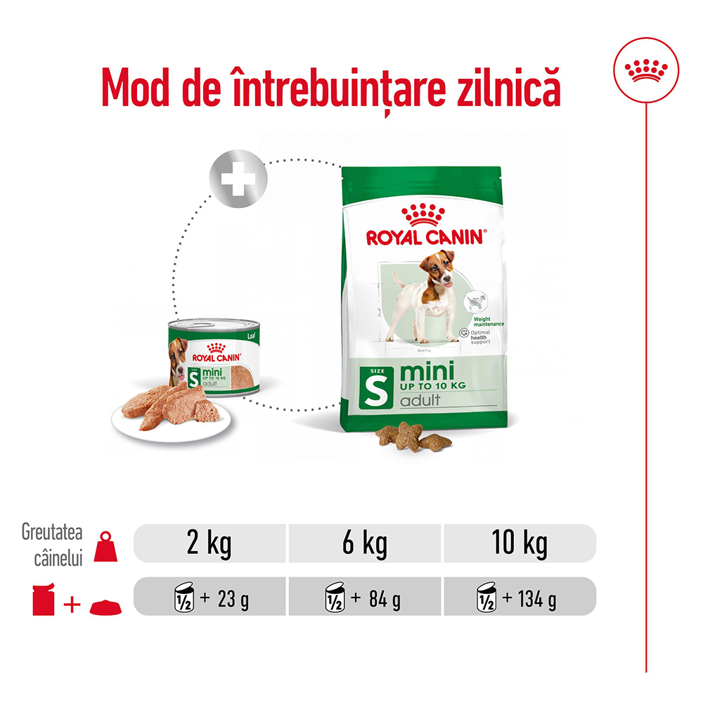 ROYAL-CANIN-Mini-Adult-hrana-umeda-caini-pate--ghid-hranire