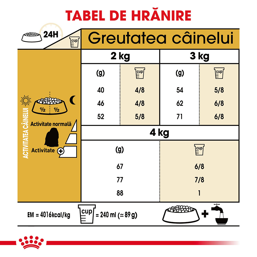 ROYAL-CANIN-Maltese-Adult-hrana-uscata-caini-ghidHranire.jpg