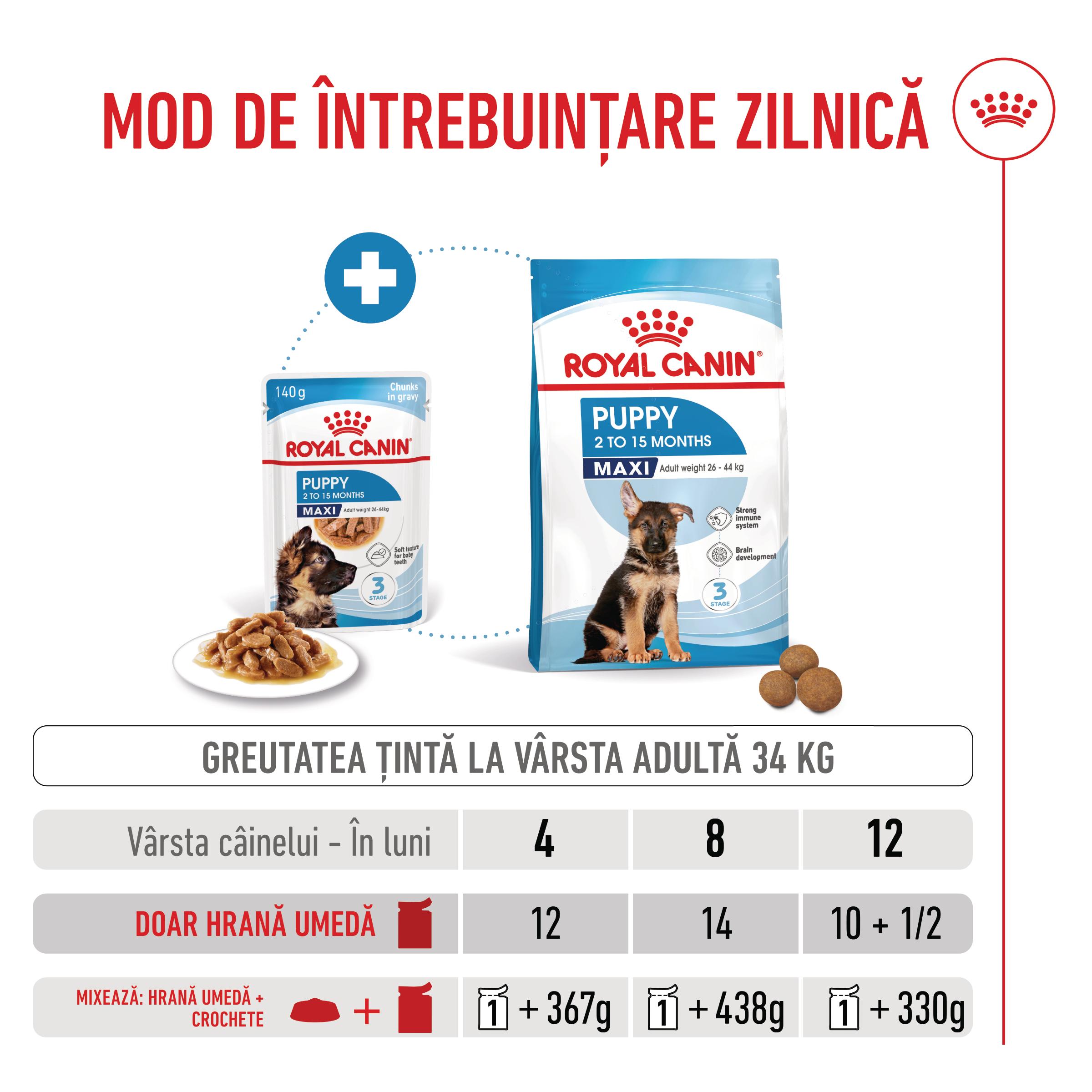 ROYAL-CANIN-Maxi-Puppy-hrana-umeda-caini-junior-in-sos--ghid-hranire-1