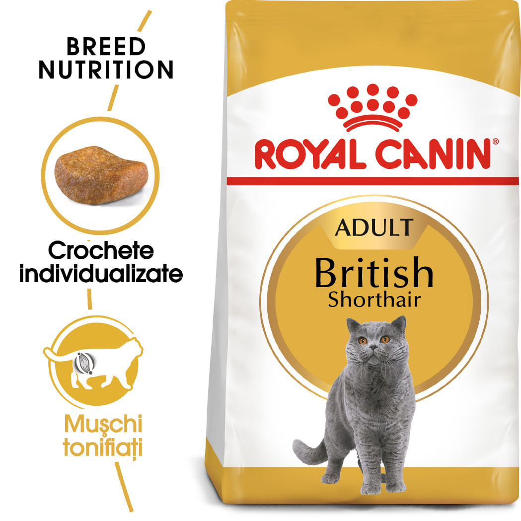ROYAL CANIN PISICA ADULT BRITISH SHORTHAIR 2KG