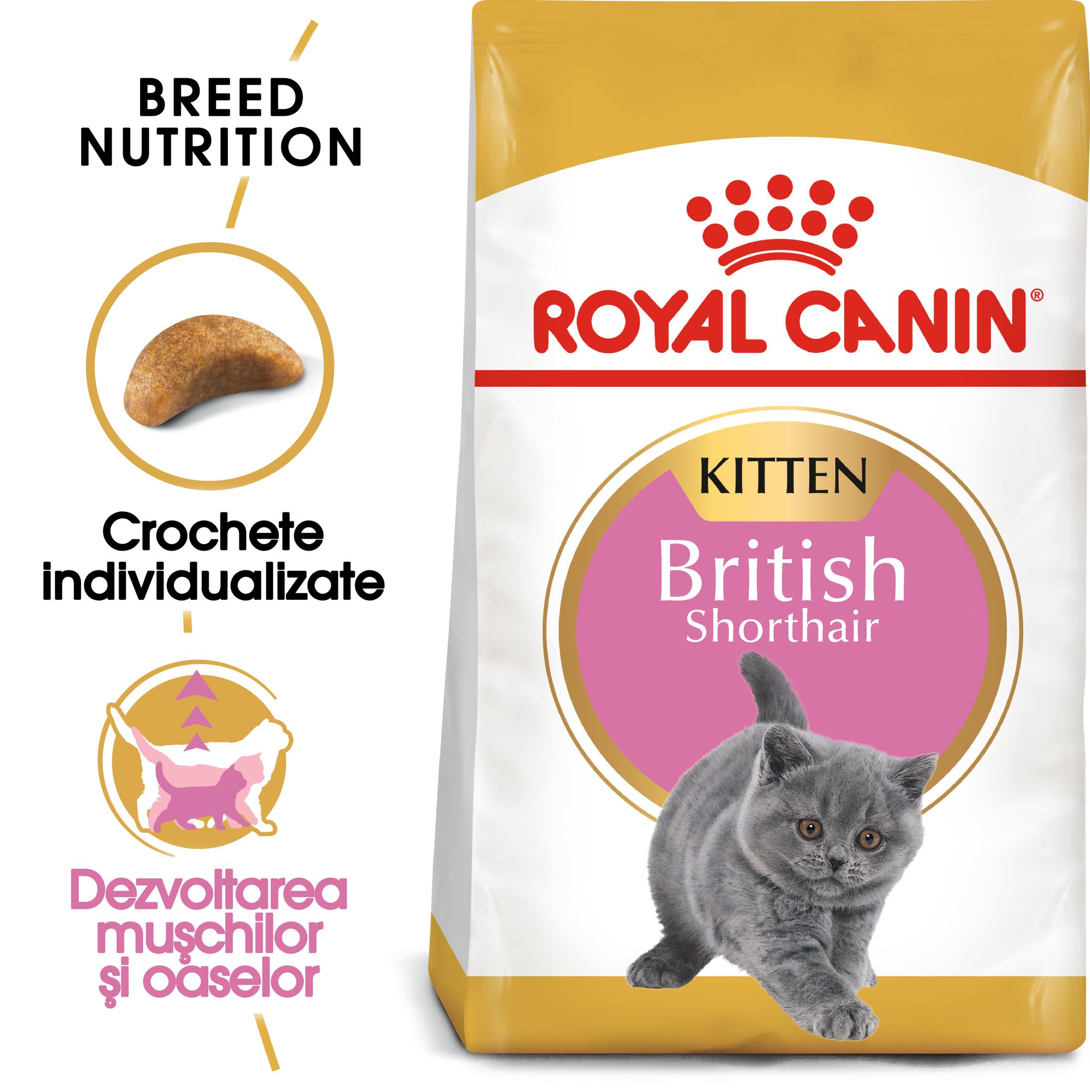 ROYAL CANIN PISICA KITTEN BRITISH SHORTHAIR 2KG