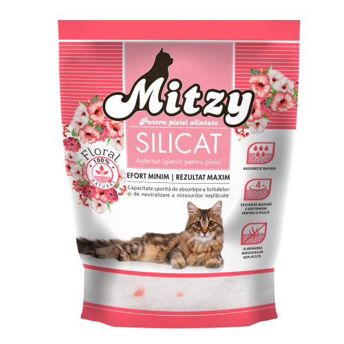ASTERNUT PISICA SILICAT MITZY FLOWERS 3.8L