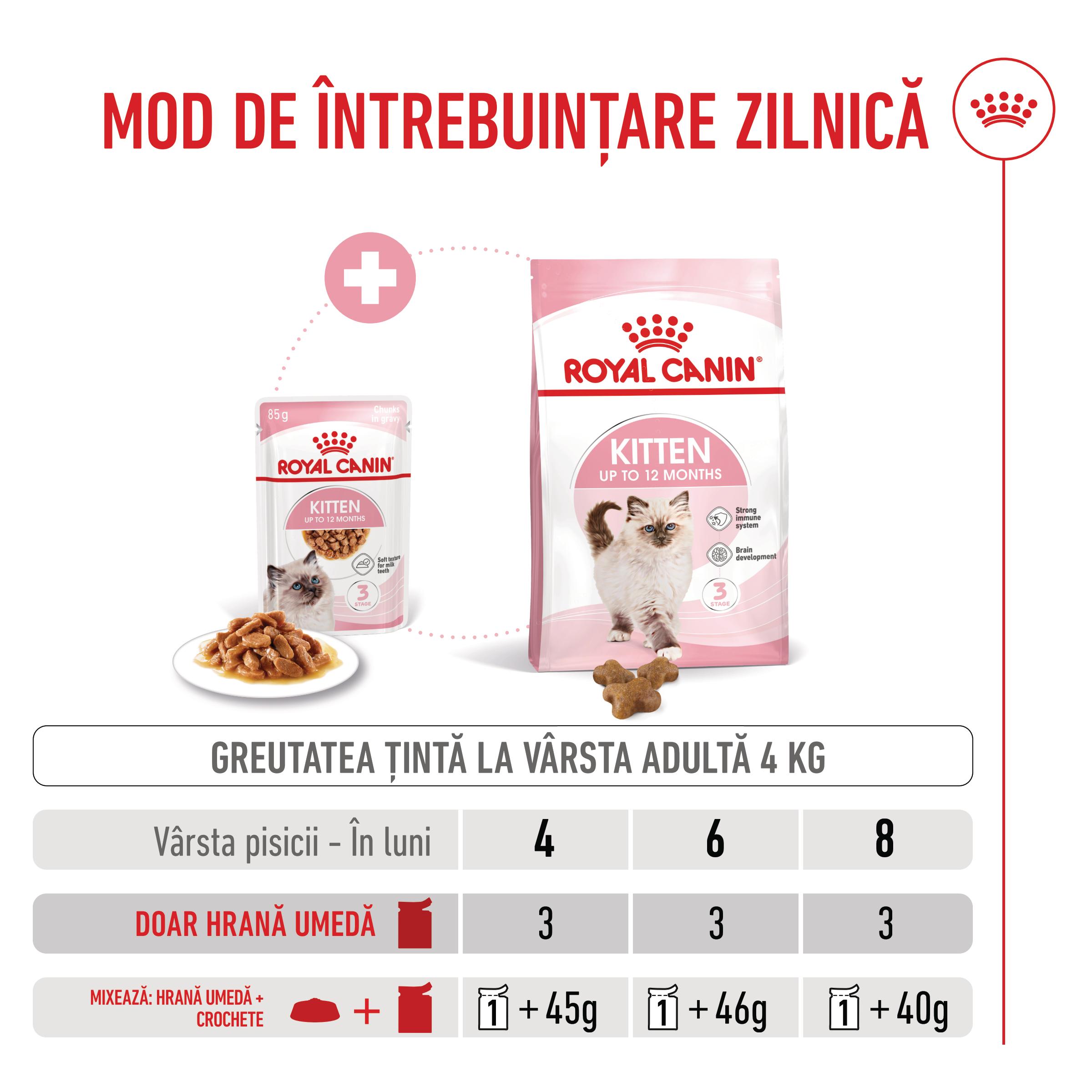 ROYAL-CANIN-Kitten-hrana-umeda-pisici-junior-in-sos--ghid-hranire-1